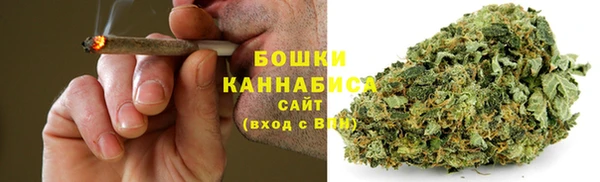 хмурый Белокуриха