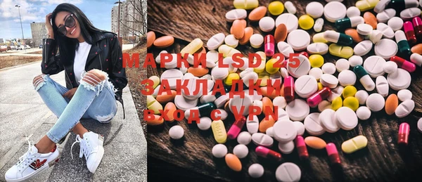хмурый Белокуриха