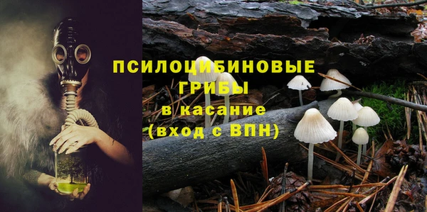 твердый Богданович
