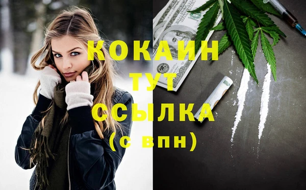 хмурый Белокуриха