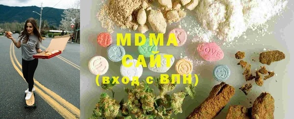 хмурый Белокуриха