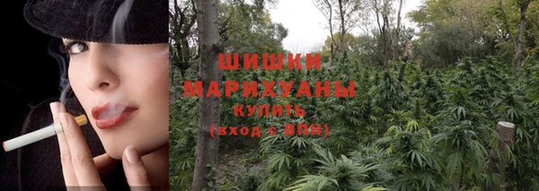 PSILOCYBIN Белоозёрский