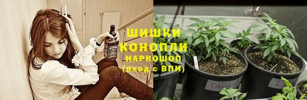 PSILOCYBIN Белоозёрский